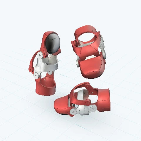 Modelo 3D a color de Falanges biomecánicas